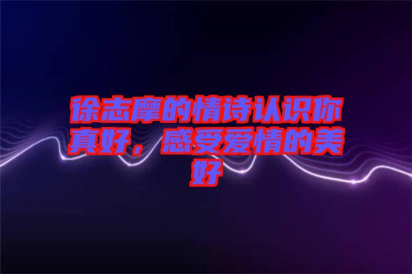 徐志摩的情詩認識你真好，感受愛情的美好