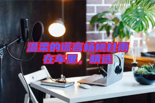 溫柔的謊言楊桃杜雨在車?yán)?，精選