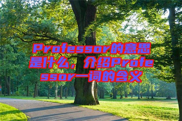 Professor的意思是什么，介紹Professor一詞的含義
