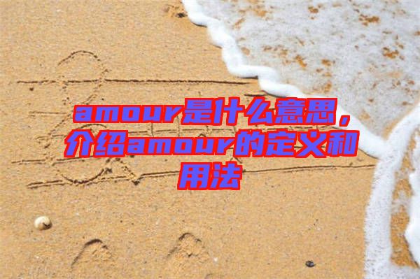 amour是什么意思，介紹amour的定義和用法