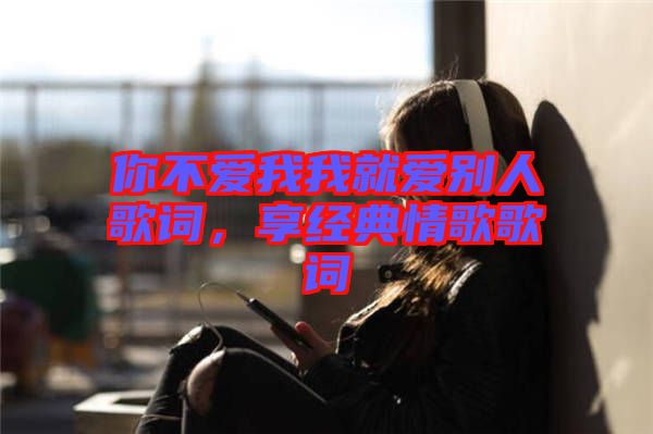你不愛我我就愛別人歌詞，享經典情歌歌詞