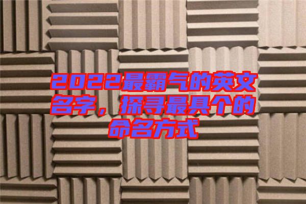 2022最霸氣的英文名字，探尋最具個的命名方式