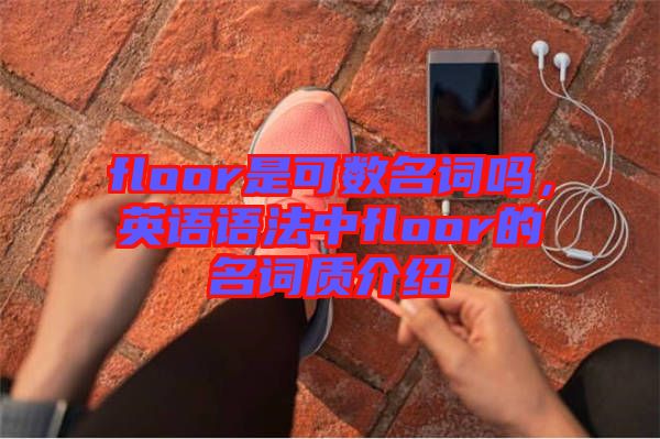 floor是可數名詞嗎，英語語法中floor的名詞質介紹