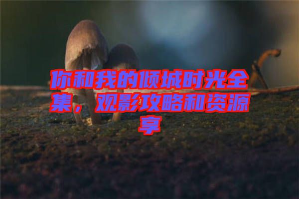 你和我的傾城時光全集，觀影攻略和資源享