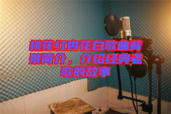 桃花紅杏花白歌曲背景簡介，介紹經典老歌的故事