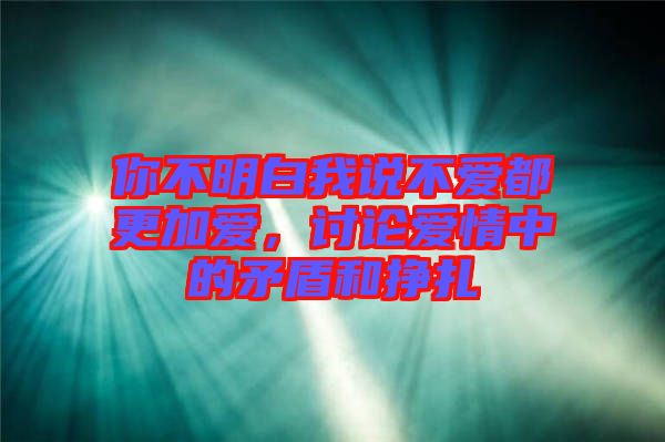 你不明白我說不愛都更加愛，討論愛情中的矛盾和掙扎