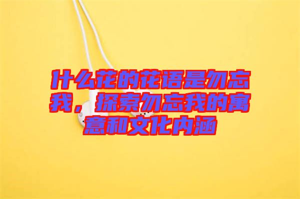 什么花的花語(yǔ)是勿忘我，探索勿忘我的寓意和文化內(nèi)涵