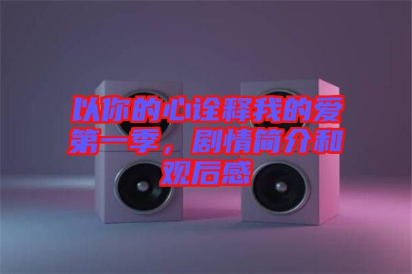 以你的心詮釋我的愛第一季，劇情簡(jiǎn)介和觀后感