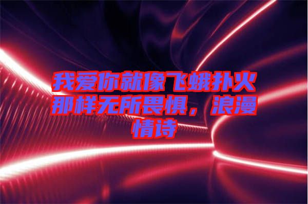 我愛你就像飛蛾撲火那樣無所畏懼，浪漫情詩