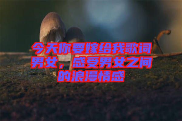 今天你要嫁給我歌詞男女，感受男女之間的浪漫情感