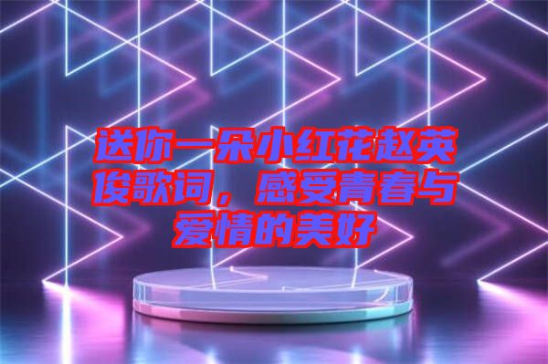 送你一朵小紅花趙英俊歌詞，感受青春與愛情的美好