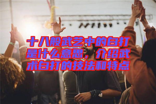 十八般武藝中的白打是什么意思，介紹武術白打的技法和特點