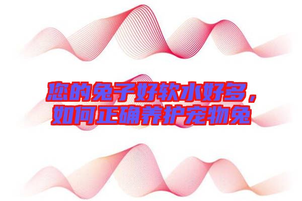 您的兔子好軟水好多，如何正確養護寵物兔