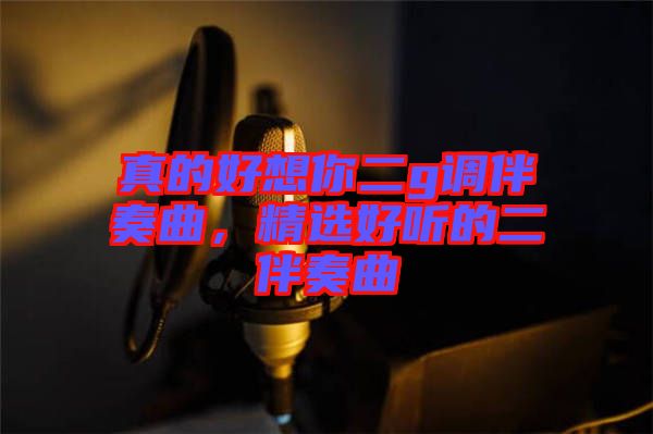 真的好想你二g調伴奏曲，精選好聽的二伴奏曲