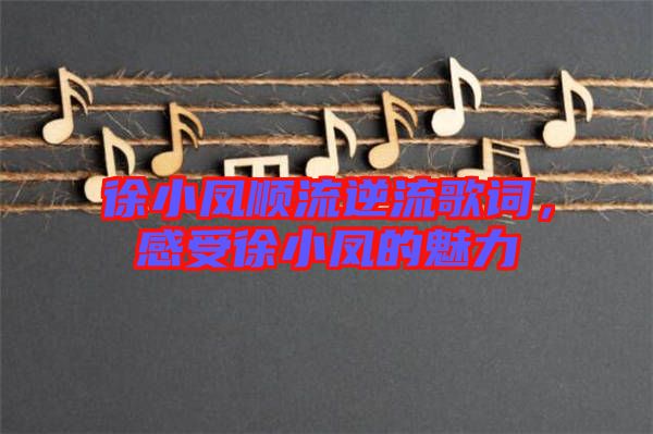 徐小鳳順流逆流歌詞，感受徐小鳳的魅力