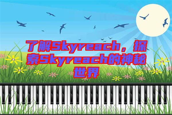 了解Skyreach，探索Skyreach的神秘世界