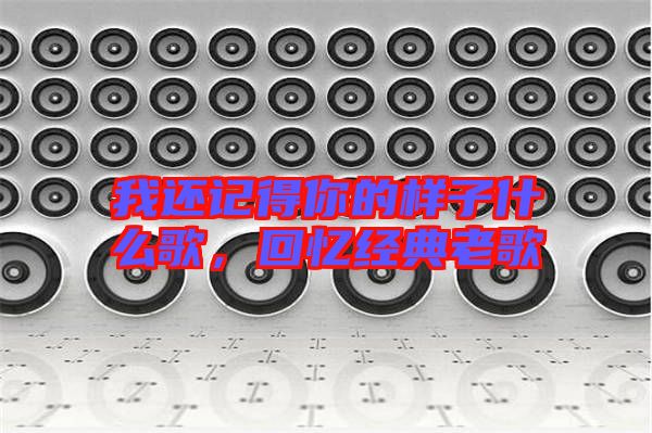 我還記得你的樣子什么歌，回憶經典老歌