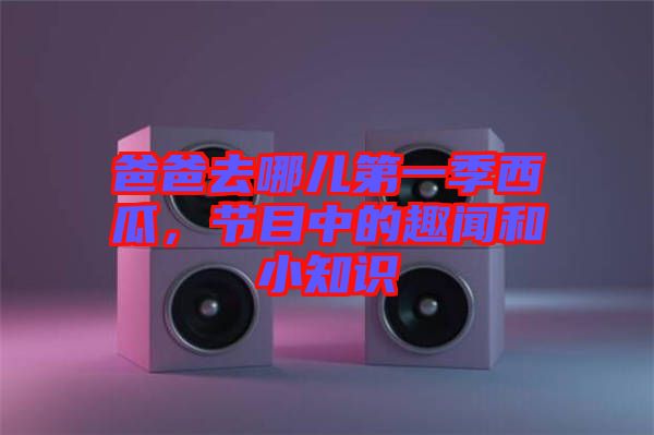 爸爸去哪兒第一季西瓜，節目中的趣聞和小知識