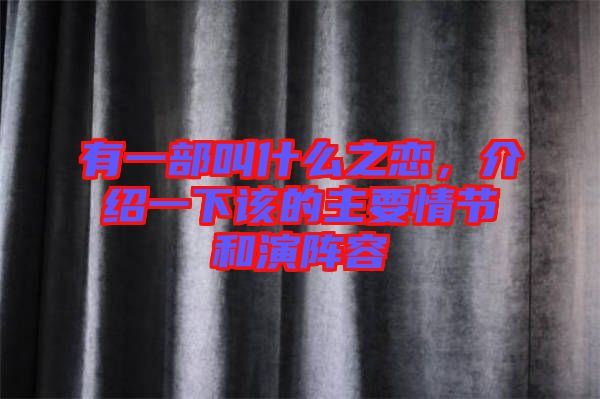 有一部叫什么之戀，介紹一下該的主要情節和演陣容