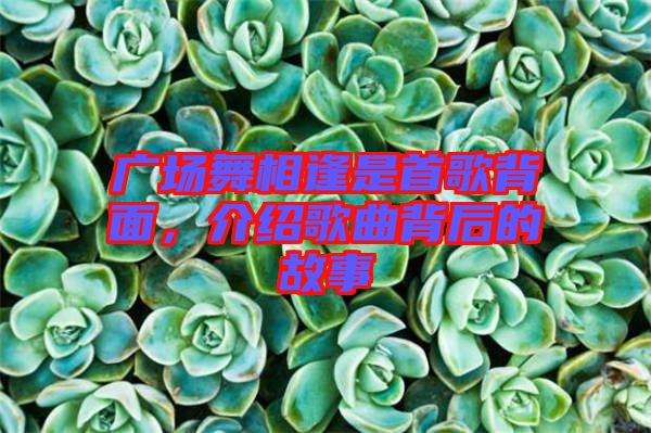廣場舞相逢是首歌背面，介紹歌曲背后的故事