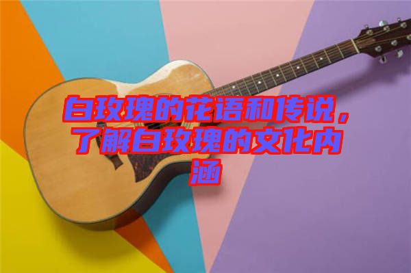 白玫瑰的花語和傳說，了解白玫瑰的文化內涵