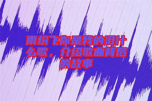 雨紛飛你是我的淚什么歌，介紹歌曲背后的故事