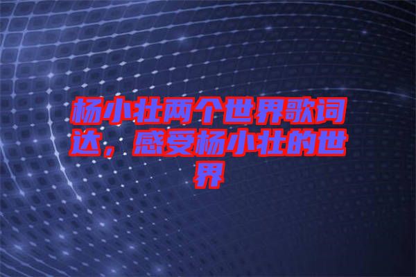 楊小壯兩個(gè)世界歌詞達(dá)，感受楊小壯的世界