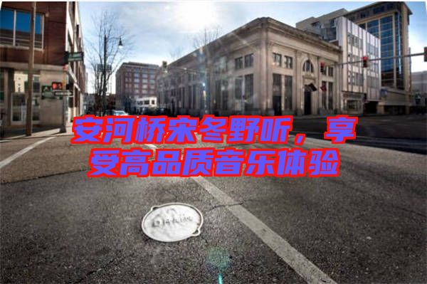 安河橋宋冬野聽，享受高品質音樂體驗