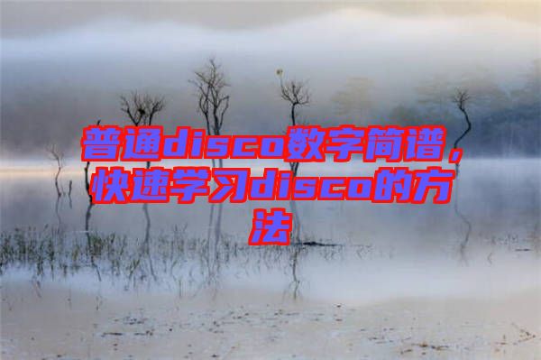 普通disco數字簡譜，快速學習disco的方法