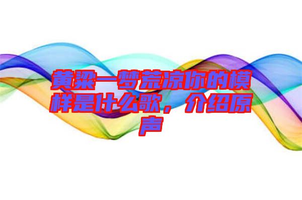 黃粱一夢荒涼你的模樣是什么歌，介紹原聲