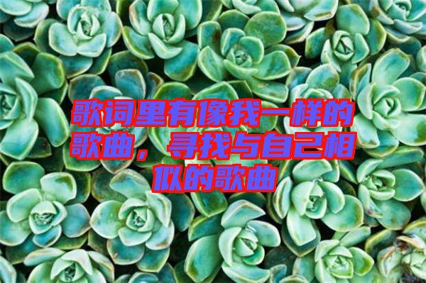 歌詞里有像我一樣的歌曲，尋找與自己相似的歌曲