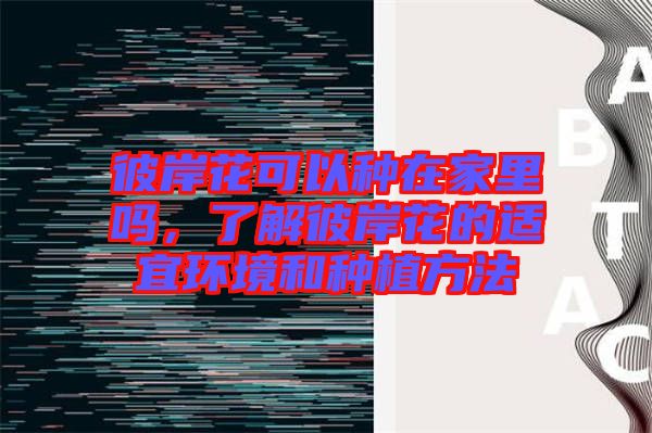 彼岸花可以種在家里嗎，了解彼岸花的適宜環(huán)境和種植方法