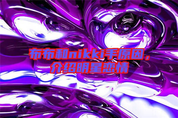 布布和nikki手原因，介紹明星戀情