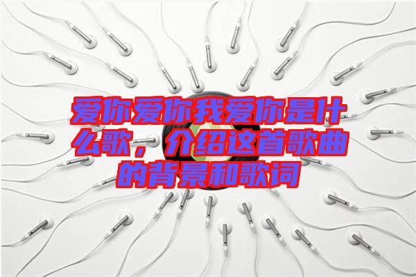 愛你愛你我愛你是什么歌，介紹這首歌曲的背景和歌詞