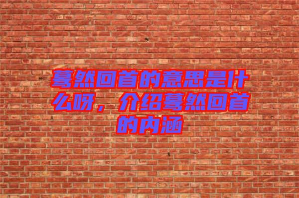驀然回首的意思是什么呀，介紹驀然回首的內涵