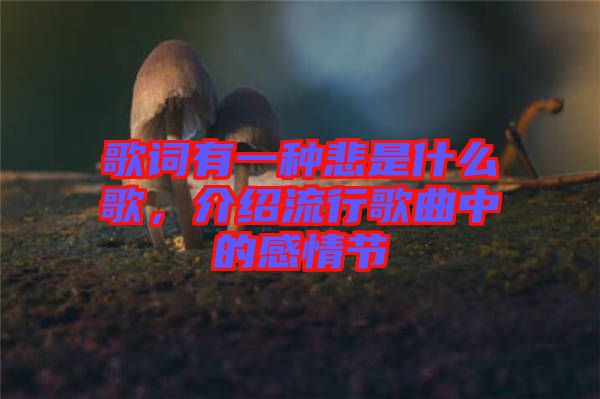 歌詞有一種悲是什么歌，介紹流行歌曲中的感情節(jié)
