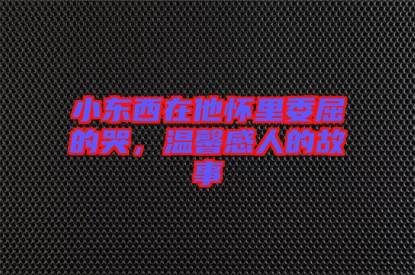 小東西在他懷里委屈的哭，溫馨感人的故事