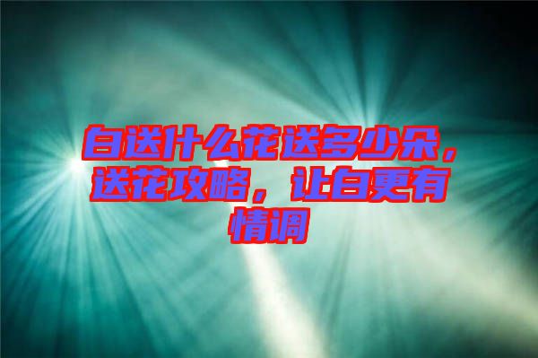 白送什么花送多少朵，送花攻略，讓白更有情調(diào)