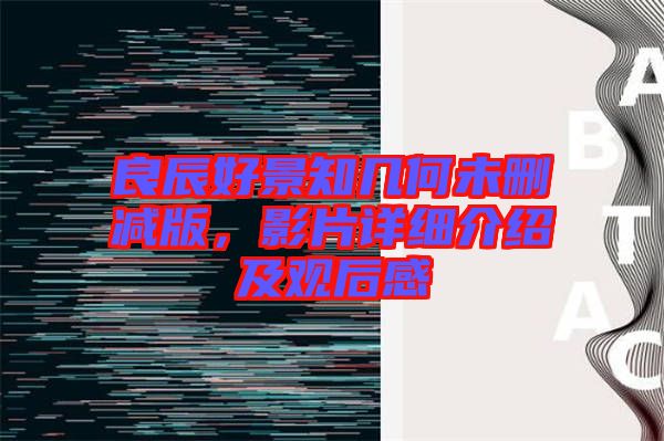 良辰好景知幾何未刪減版，影片詳細介紹及觀后感