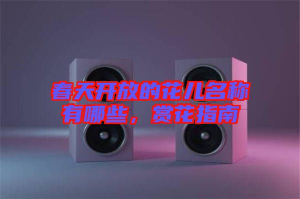 春天開放的花兒名稱有哪些，賞花指南