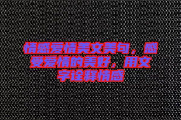 情感愛情美文美句，感受愛情的美好，用文字詮釋情感