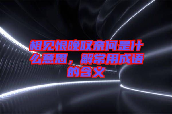 相見恨晚嘆奈何是什么意思，解常用成語的含義
