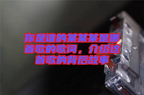 你是誰(shuí)的某某某是哪首歌的歌詞，介紹這首歌的背后故事