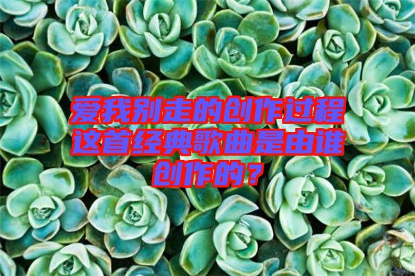 愛(ài)我別走的創(chuàng)作過(guò)程這首經(jīng)典歌曲是由誰(shuí)創(chuàng)作的？