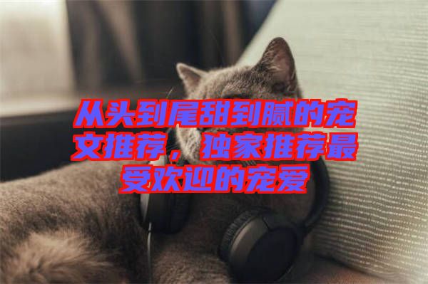 從頭到尾甜到膩的寵文推薦，獨家推薦最受歡迎的寵愛