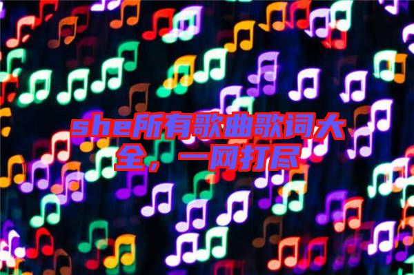 she所有歌曲歌詞大全，一網(wǎng)打盡