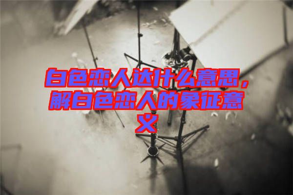 白色戀人達什么意思，解白色戀人的象征意義