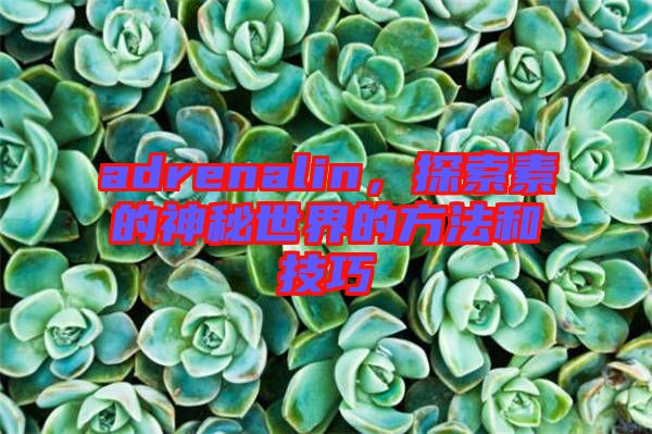 adrenalin，探索素的神秘世界的方法和技巧