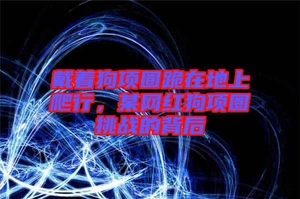 戴著狗項圈跪在地上爬行，某網紅狗項圈挑戰的背后