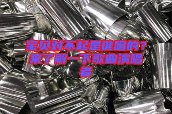 寶貝對不起是誰唱的？來了解一下歌曲演唱者